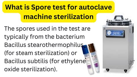 autoclave spore testing